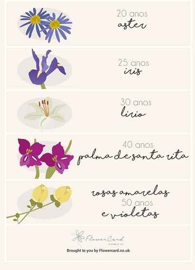 bodas e Flores! Sabia que existem flores ideais para cada aniversário de casamento? 💐 - 5