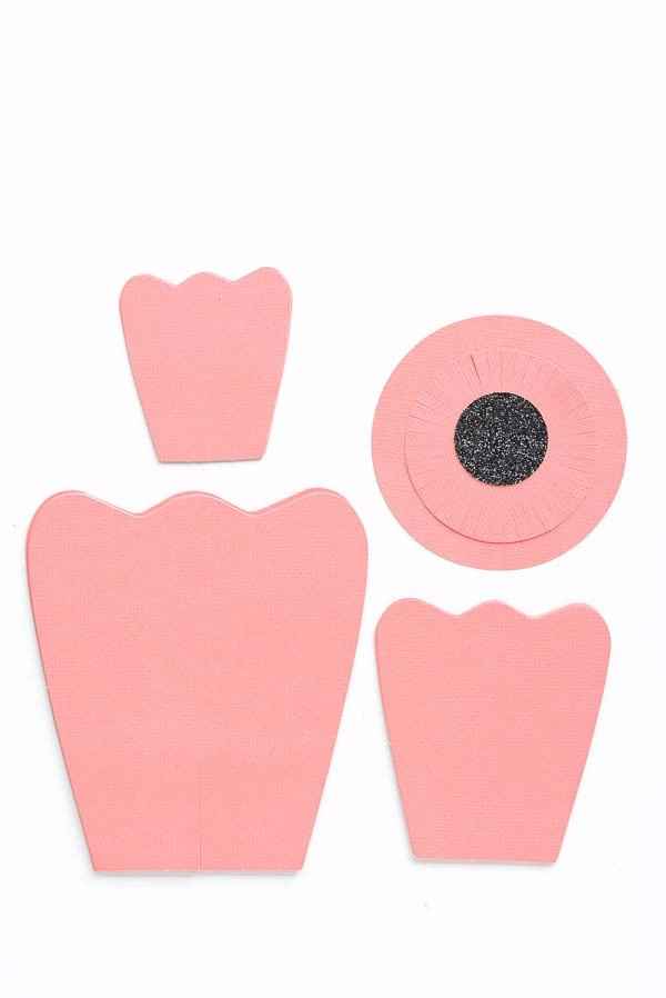 Os tamanhos das pétalas e miolos