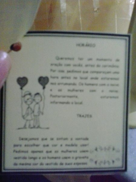 Meu mini manual dos padrinhos - 2