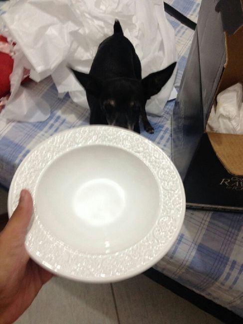 Presentinhos chegando. - 4