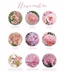 Flores de cada mês 11
