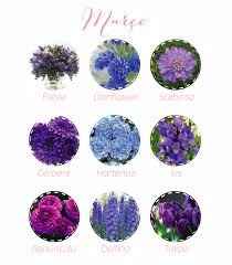 Março tem os tons de roxo e azul (um dos motivos da minha escolha)