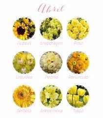 Abril é alegre com as flores amarelas