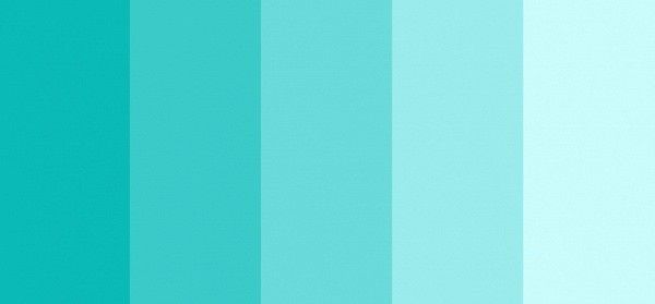Optei por essa paleta de cores.