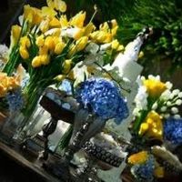 Cores da minha decoração de Casamento 