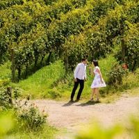 Pré Wedding