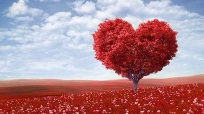 Espalhe o amor onde quer que você for!! Todo tempo é tempo de amar *-*