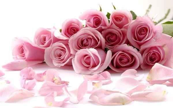 Rosas