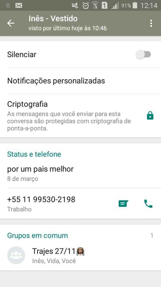 Meu vestido #parte1 - 1