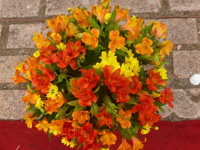 Laranja e amarelo