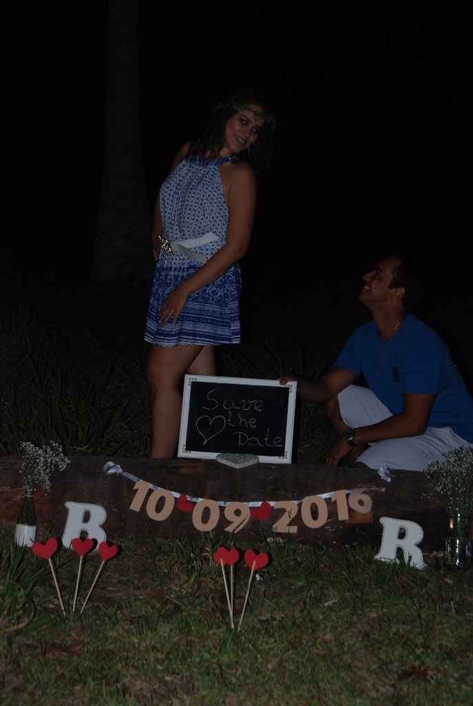 6 meses