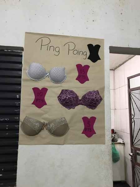 CHÁ DE LINGERIE SURPRESA DA ANINHA!