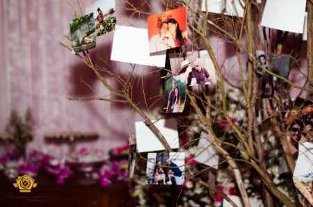 Arvore de fotos