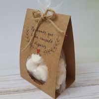 ÚLTIMO PASSO para ganhar 2 mimos para o dia C! - 1