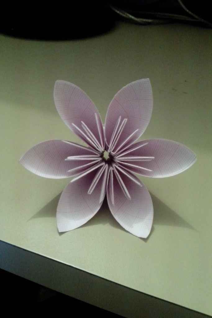 Primeira Flor DIY
