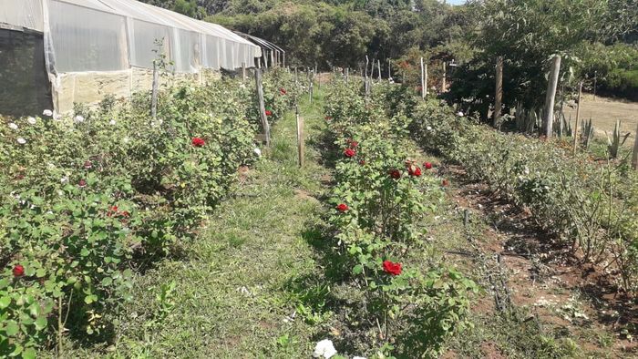 Local para cerimonia e festa ❤ - parte III - a procura SONHOS E FLORES ❤ 7