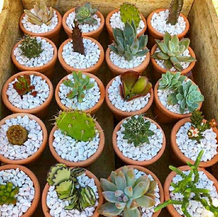 Lembrancinhas - Inspirações ❤ - 2