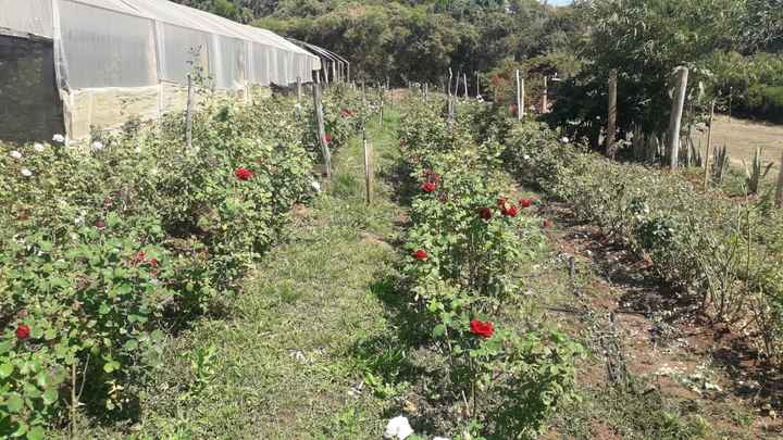 Local para cerimonia e festa ❤ - parte iii - a procura sonhos e flores ❤ - 8