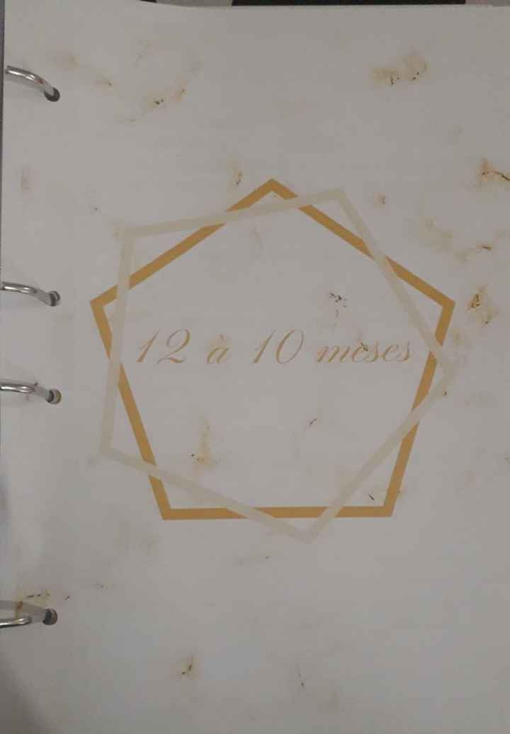 Meu tão esperado e sonhado Planner de Casamento - 15