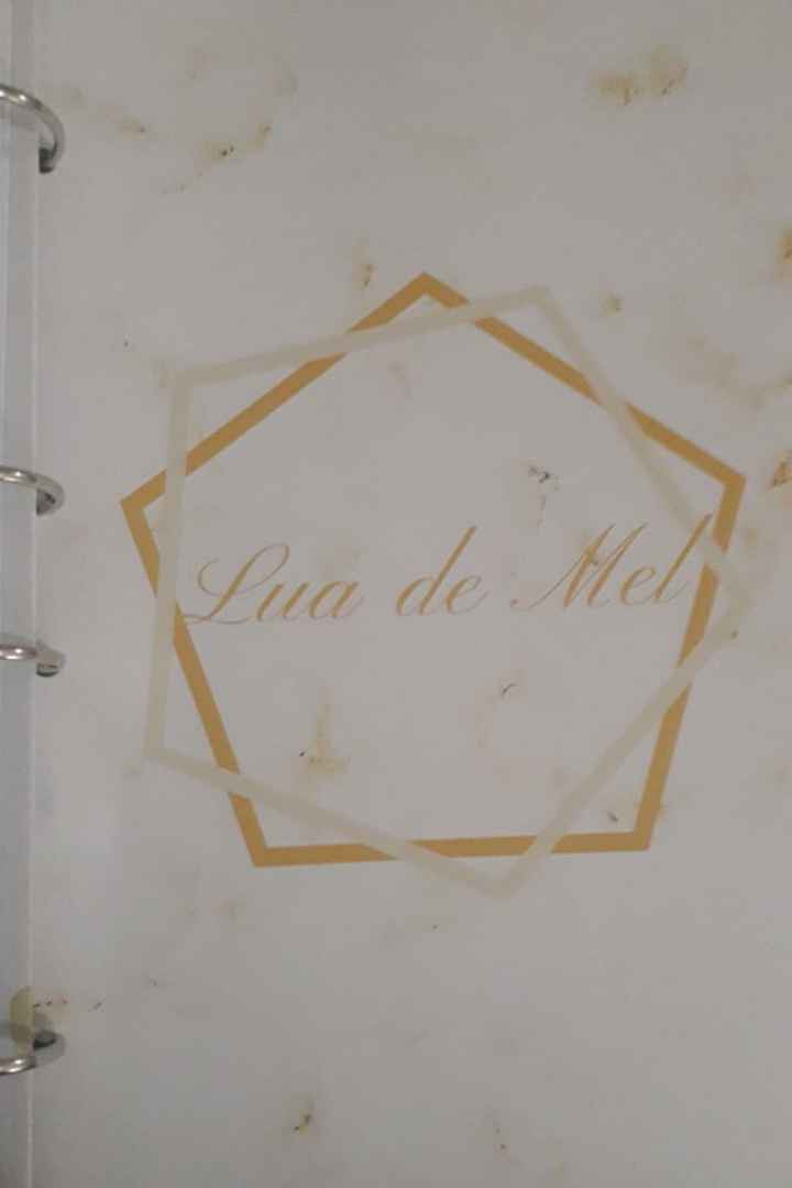 Meu tão esperado e sonhado Planner de Casamento - 18