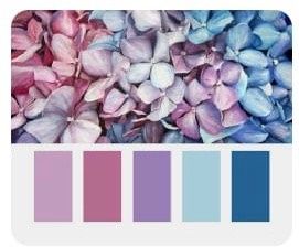 Paleta inspiração.