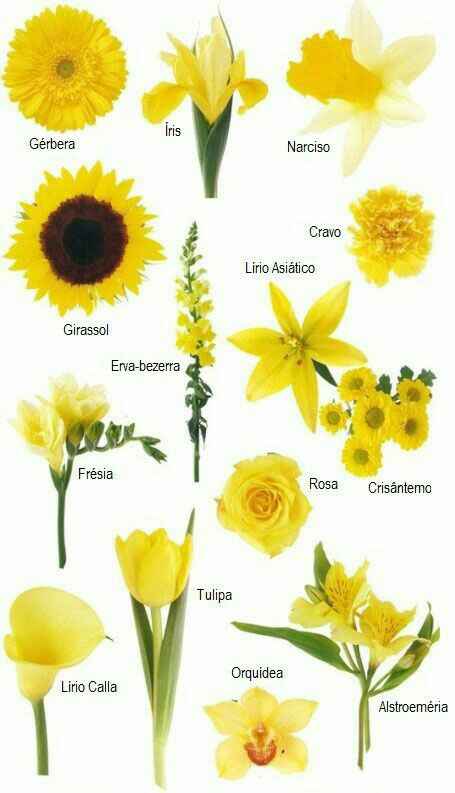 Preciso de inspirações de flores para casamento diurno! - 1