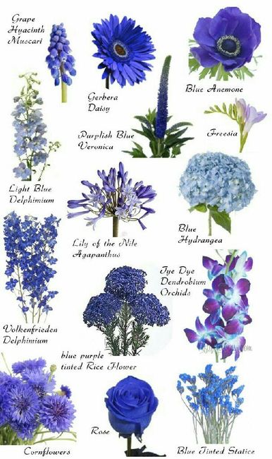 Preciso de inspirações de flores para casamento diurno! - 3