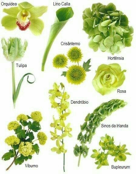 Preciso de inspirações de flores para casamento diurno! - 5