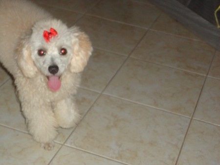 Melinha