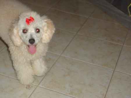 Melinha