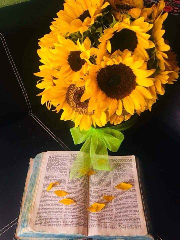 Finalmente meu buquê!!! #vemver 😍🌻 - 1