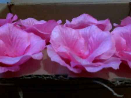 forminhas de doces