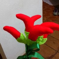 buquet de pimenta