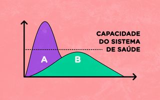 Coronavírus: novas informações #papocientista 1