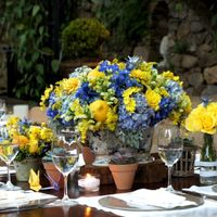 amarelo e azul
