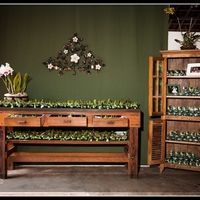Decoração