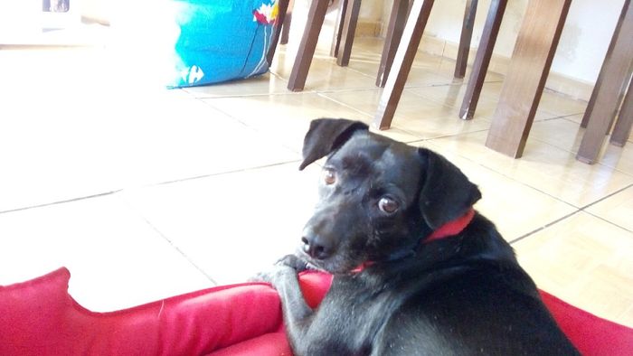 Vou sentir saudades mas sera preciso!! - 1