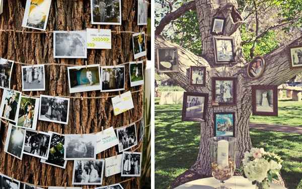 Mural de fotos na árvore