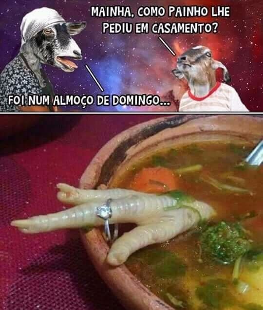 Meu pedido de casamento foi assim... Inspirado no Bode gaiato.