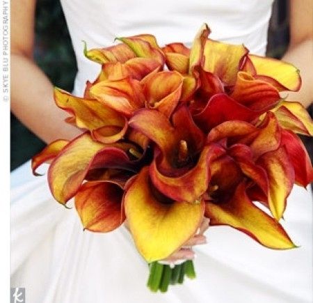 Bouquet de calla 