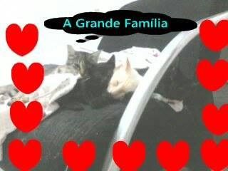 a grande familia
