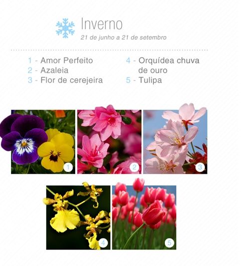 Inverno