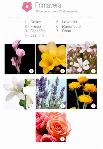 Primavera