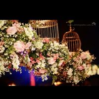 Cor do casamento - 1
