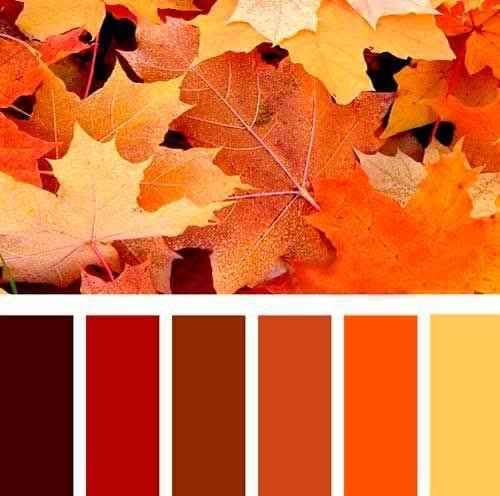 Gente me caso em novembro que é primavera mas eu queria usar “cores de outono” como na foto  vocês a