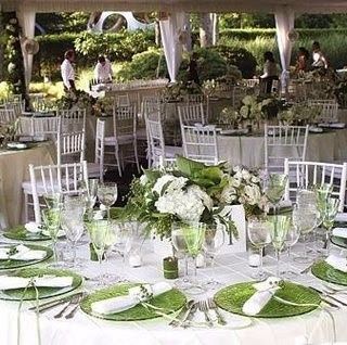 Verde e branco 