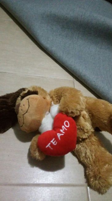 Novo membro da família - 3