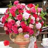 Cores Casamento