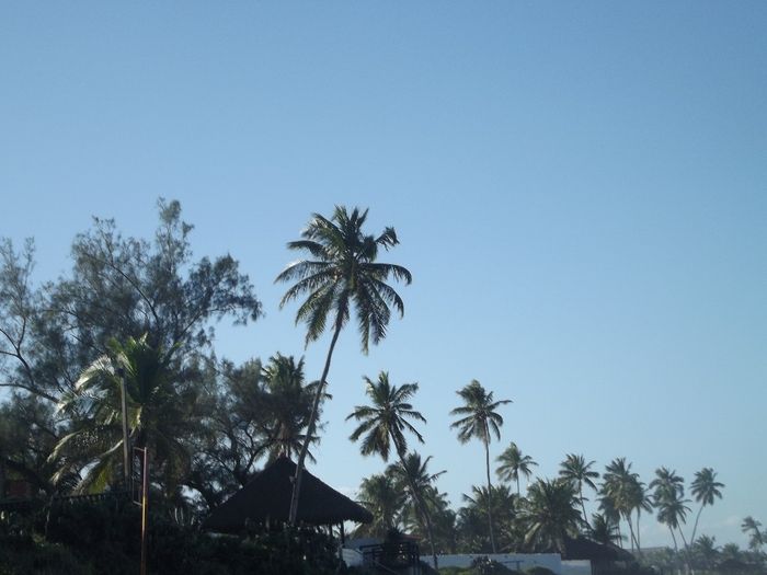 Lua de Mel - Porto de Galinhas 4