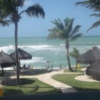 Lua de Mel - Porto de Galinhas